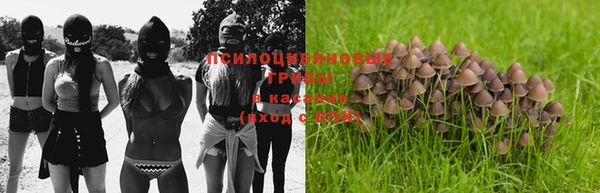 прущая мука Заволжск