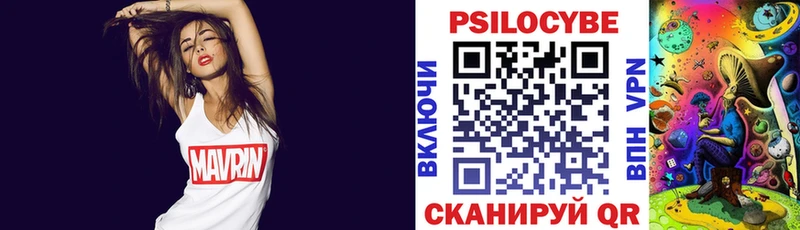 Псилоцибиновые грибы MAGIC MUSHROOMS  Купить закладки  Куйбышев 